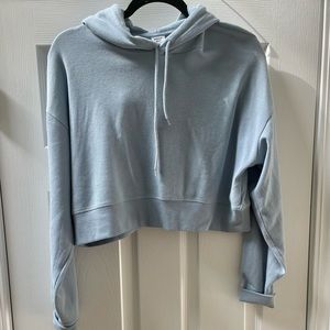 Aritzia Cropped Hoodie